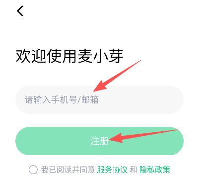 麦小芽