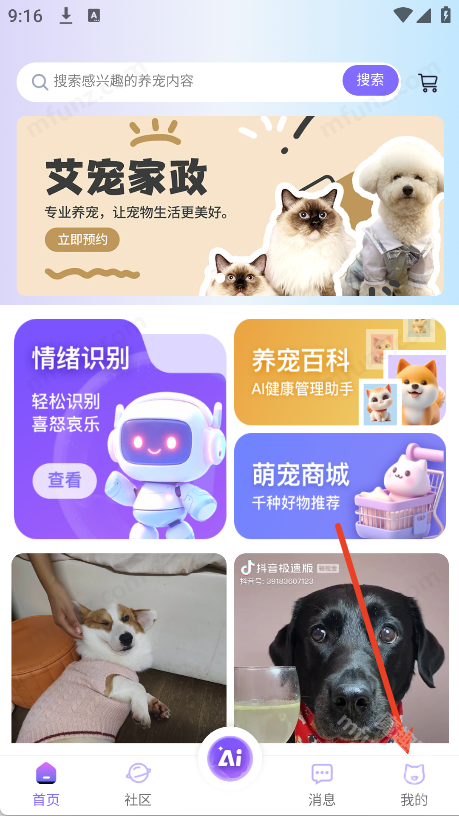 艾宠易
