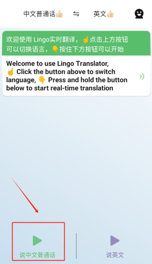 Lingo实时翻译