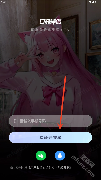 口袋伴侣
