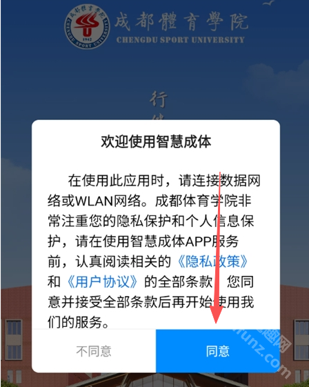 智慧成体