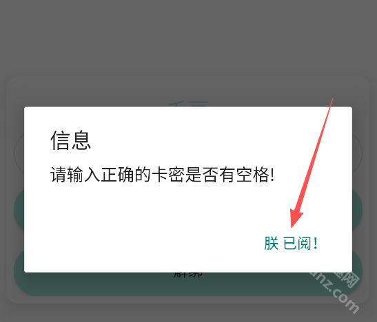 毛豆直装