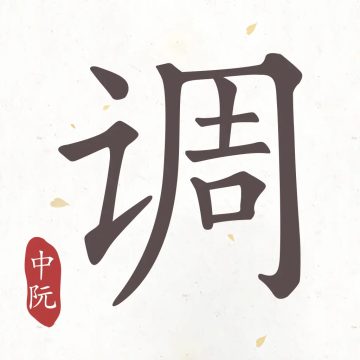中阮调音器