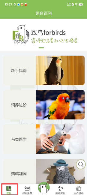 致鸟