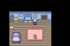 口袋妖怪空之花神