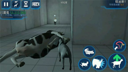 天尚网