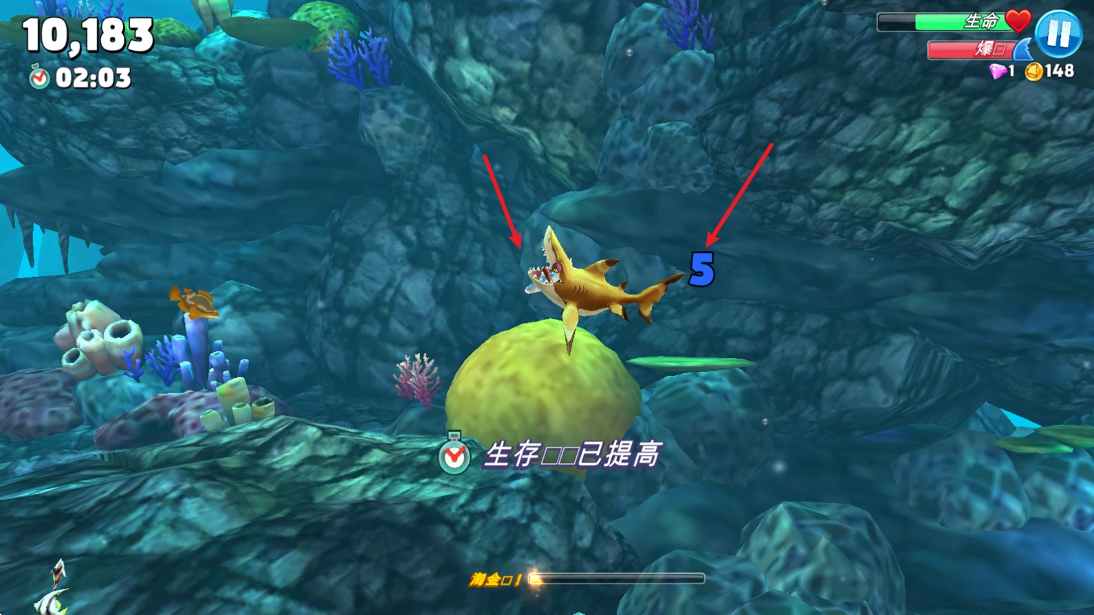 饥饿鲨世界国际服