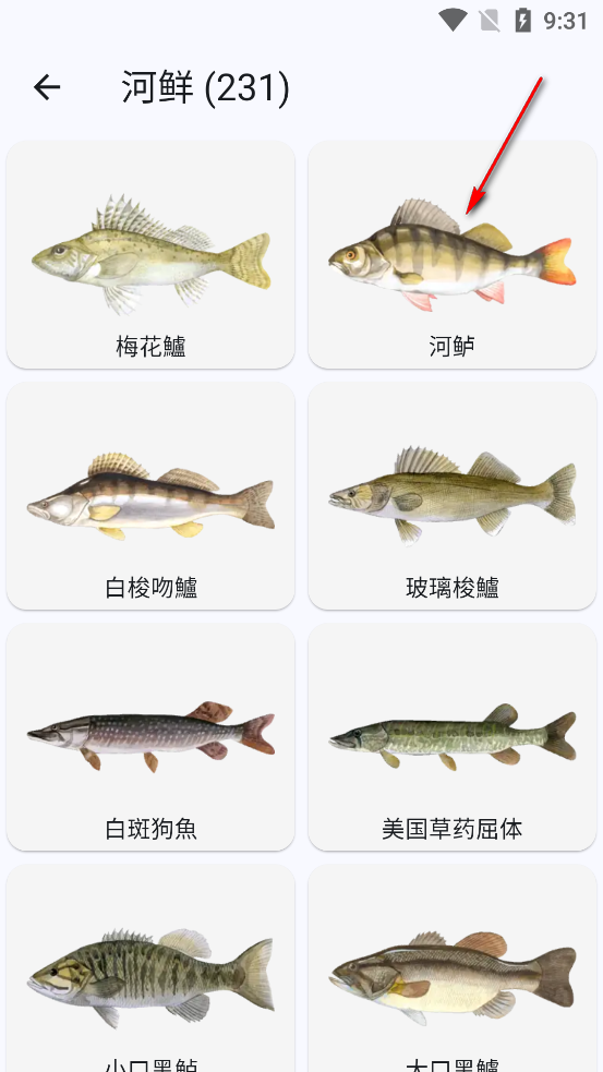 鱼星球