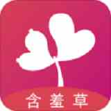 含羞草4.31