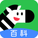 斑马百科
