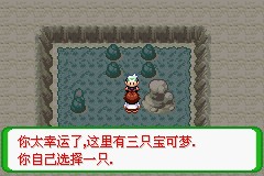 口袋妖怪空之花神