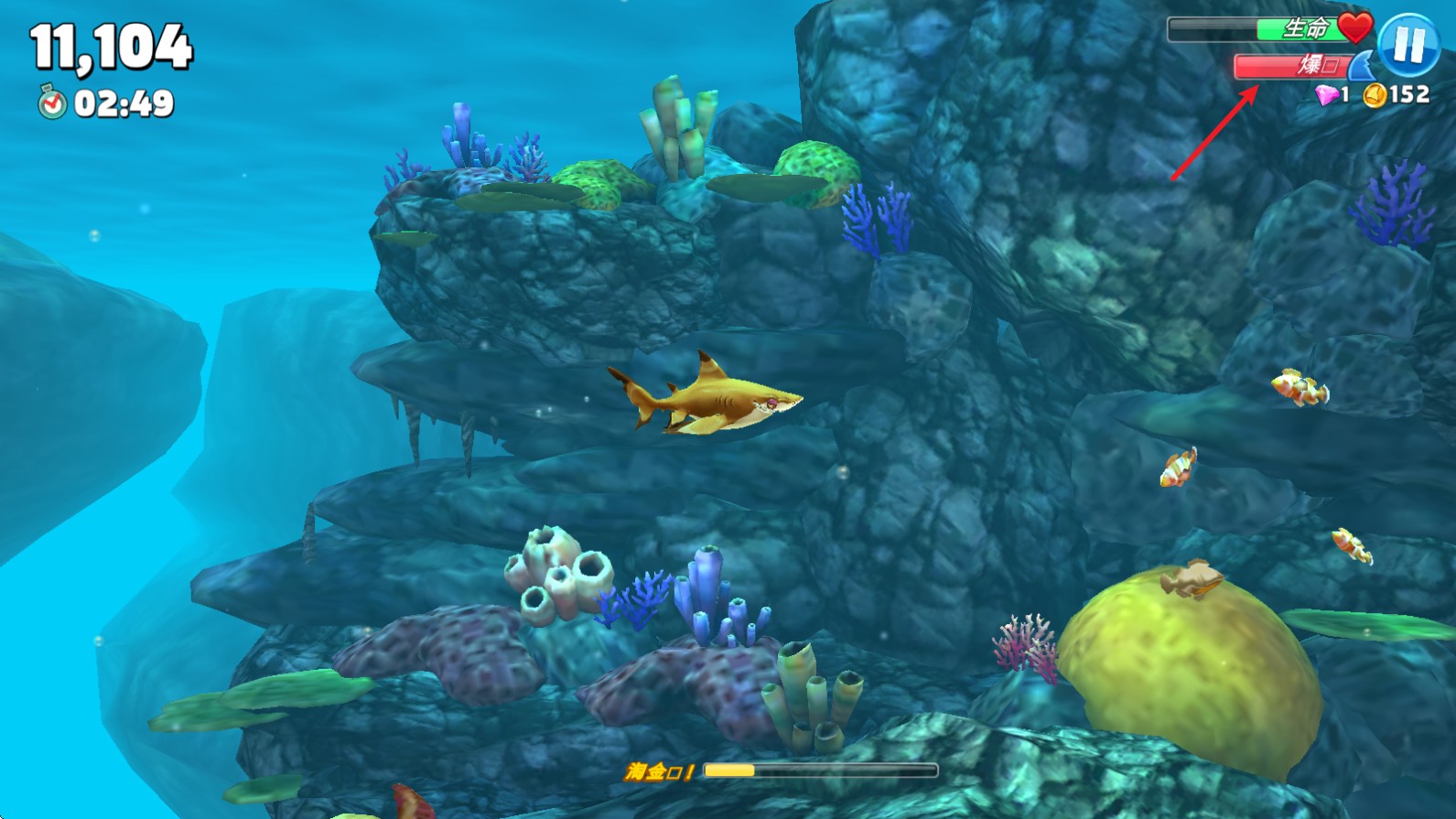 饥饿鲨世界国际服正版