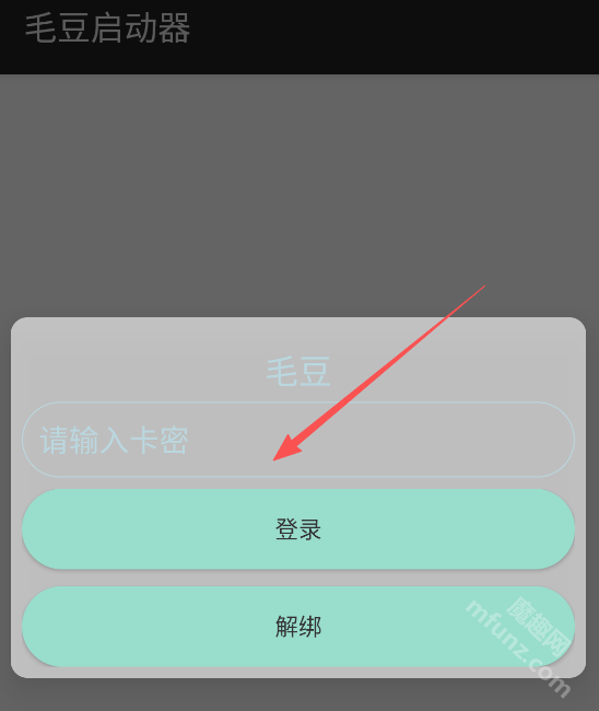 毛豆直装
