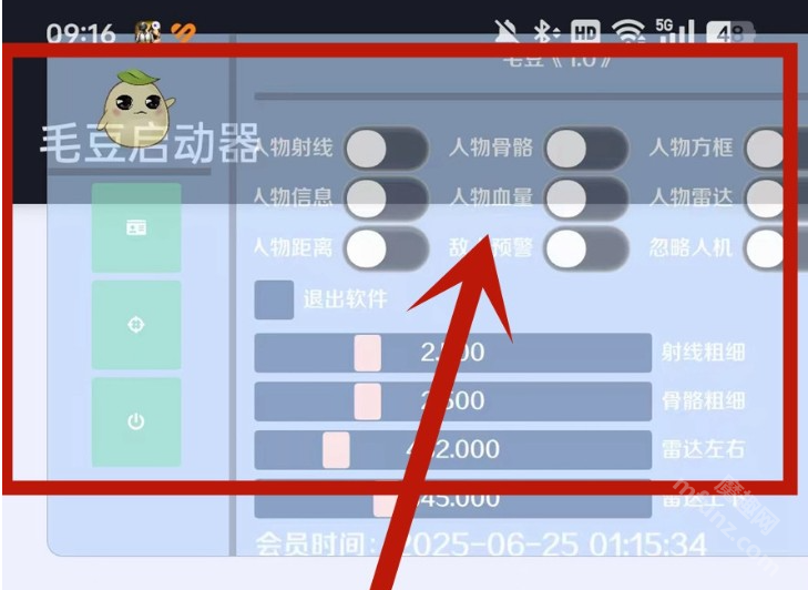 毛豆直装