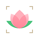 识花软件下载 v1.3.8安卓版