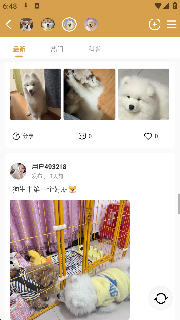 宠物王国软件下载手机版