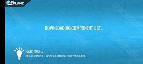 专业模拟飞行12